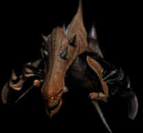 Zerg Threat